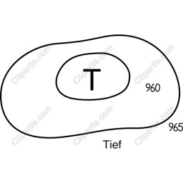 Elegant T with Fluid