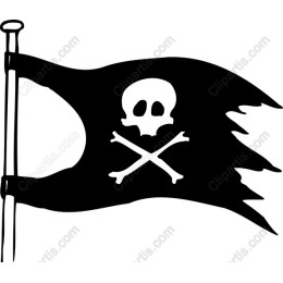 Pirate Flag - Skull and Crossbones