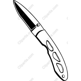 Premium Folding Knife