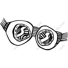 Stylish Swimming Goggles
