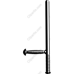 Professional Toggle Bolt