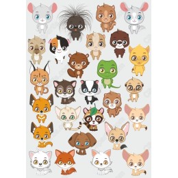 Cute Animal Characters Bundle