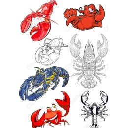 Premium Lobster Bundle