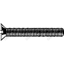 Screw