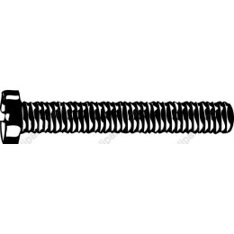 Screw