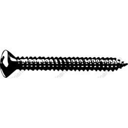 Screw