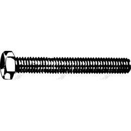 Hex Bolt