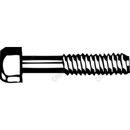 Screws Available