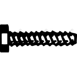 Screw