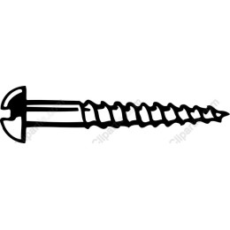 Screw