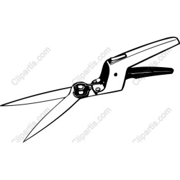 Premium Modern Scissors