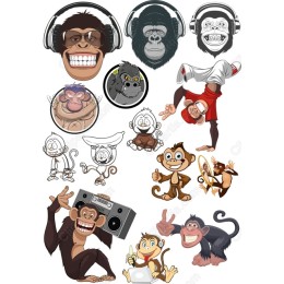 Playful Monkey Collection