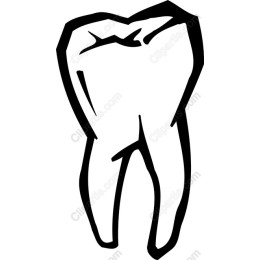 Dental Tooth