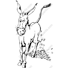 Playful Donkey