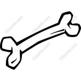 Playful Bone