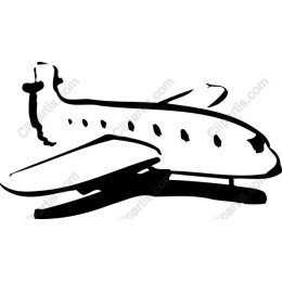 Elegant Private Jet