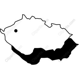 Minimalist Fish