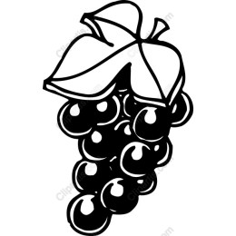 Grapes - Black and White