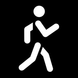 Dynamic Runner
