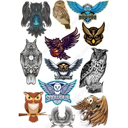 Owl Master Collection - Bundle