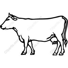 Charming Cow