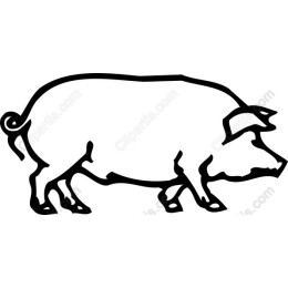 Charming Pig