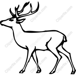 Majestic Reindeer