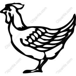 Stylized Chicken