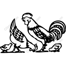 Charming Hen and Rooster