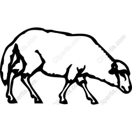 Grazing Sheep - Minimalist Black and White