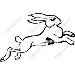 Dynamic Leaping Rabbit