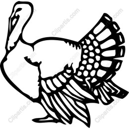 Majestic Turkey