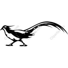 Stylized Bird