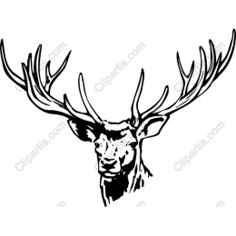 Majestic Stag