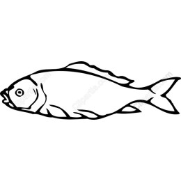 Minimalist Fish