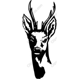 Majestic Deer Head