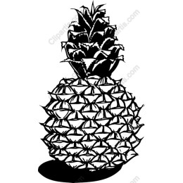 Black and White Pineapple