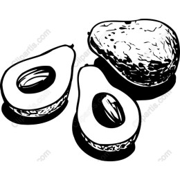 Avocado