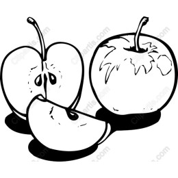 Hand-Drawn Apple
