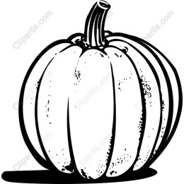 Classic Pumpkin