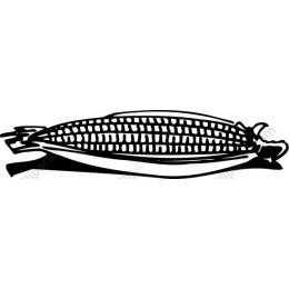 Premium Corn Cob
