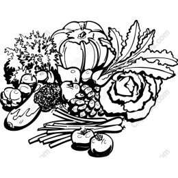 Bountiful Harvest Vegetable