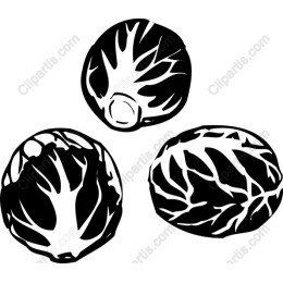 Three Cabbages