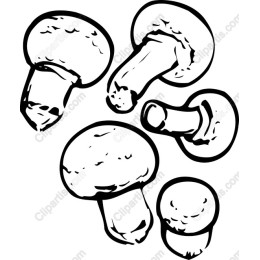 Charming Hand-Drawn Mushroom