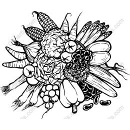 Hand-Drawn Fresh Vegetable