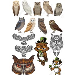 Owl Set - 20 Unique