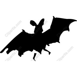 Bat