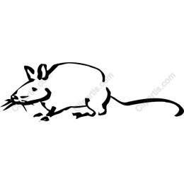 Playful Mouse