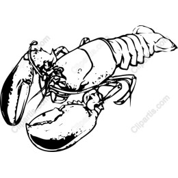 Lobster