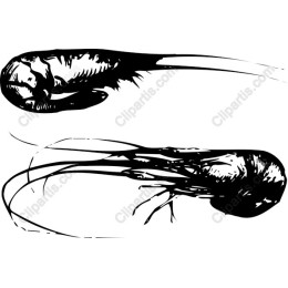 Stunning Shrimps - Aquatic Art